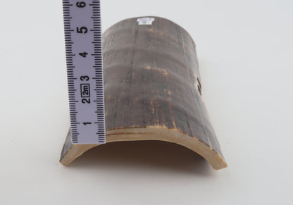 Brown mammoth bark