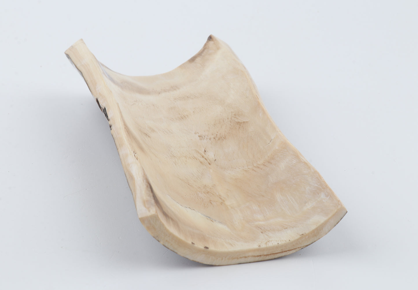 Brown mammoth bark
