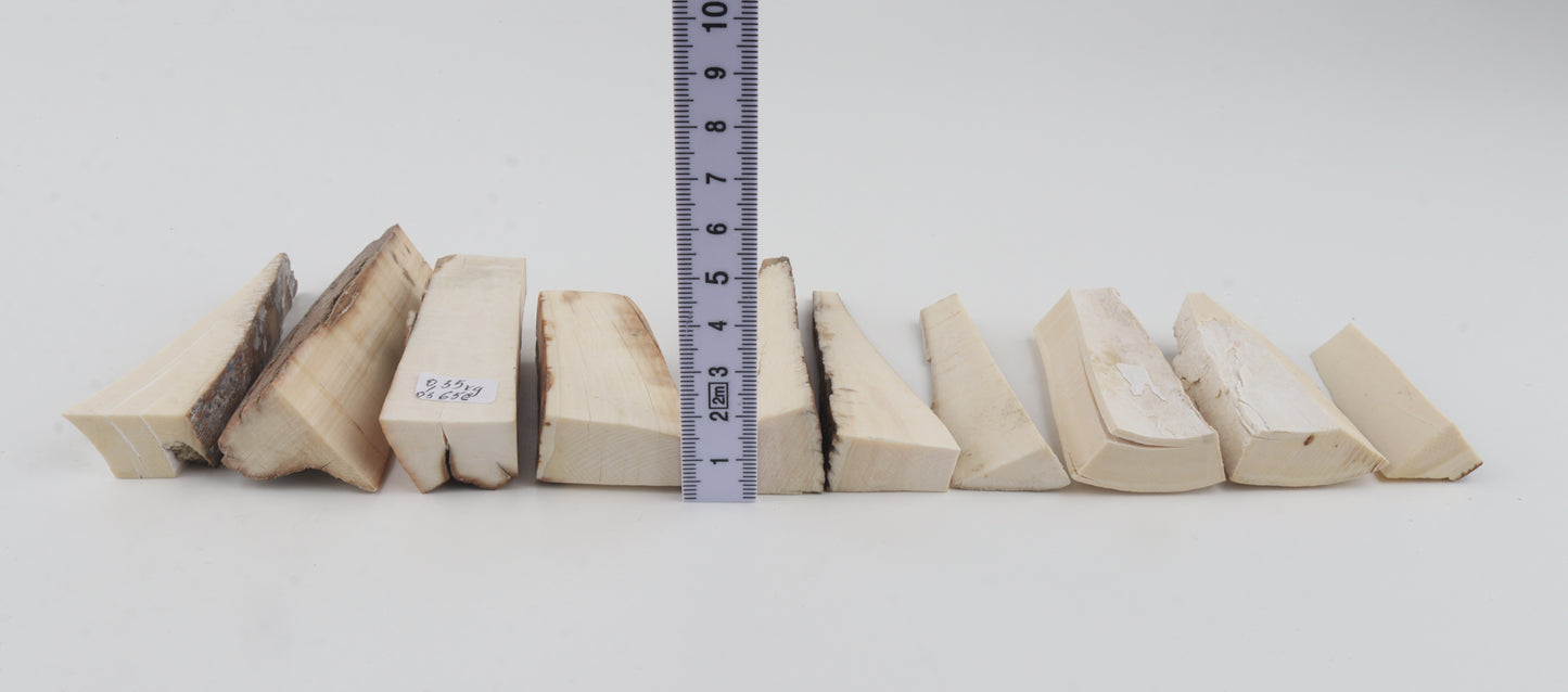 Raw mammoth ivory pieces