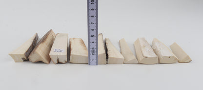 Raw mammoth ivory pieces