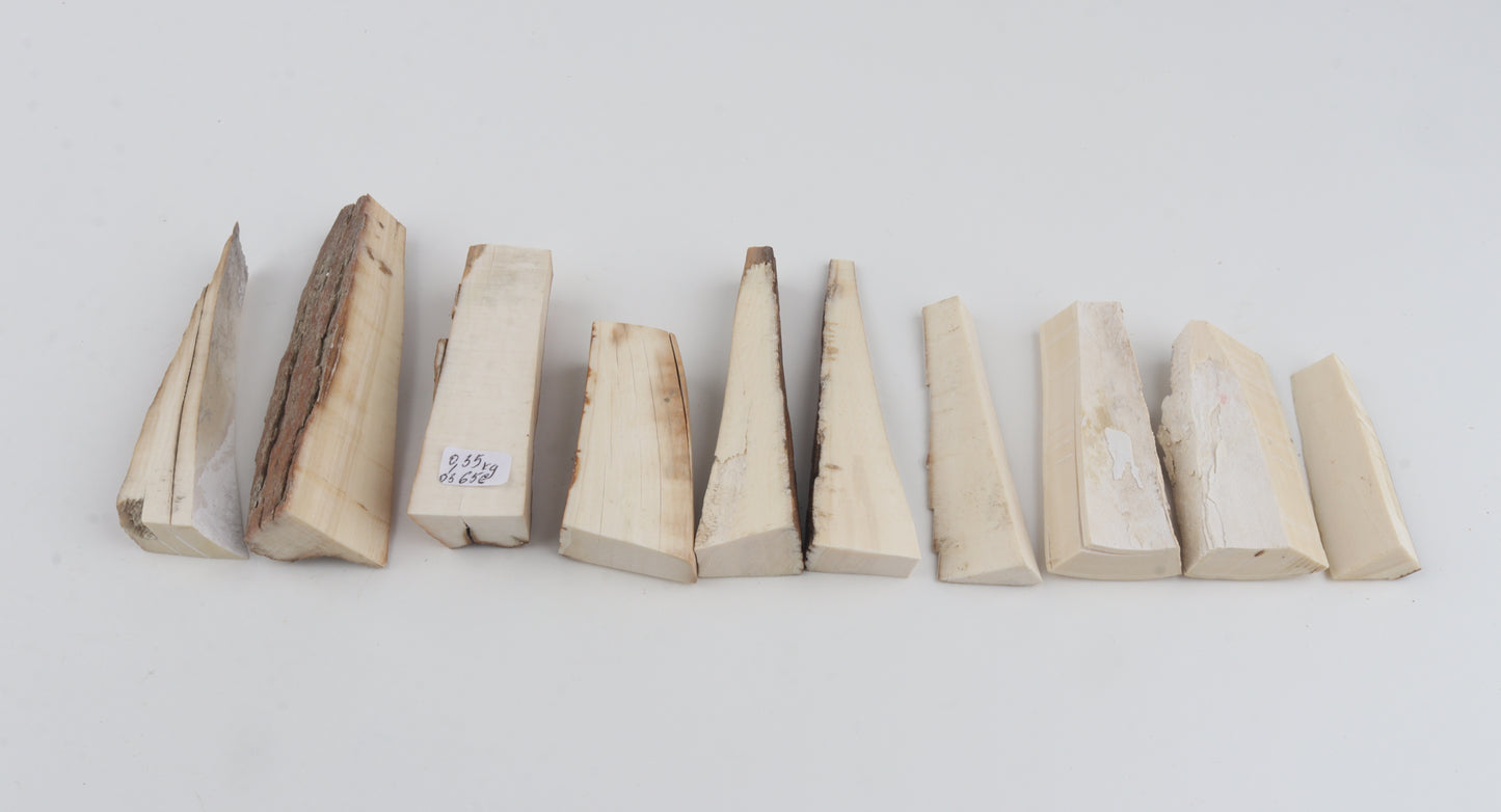 Raw mammoth ivory pieces