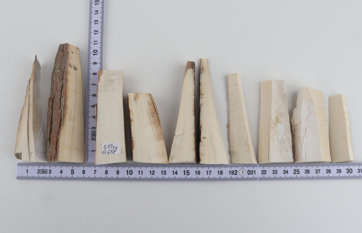 Raw mammoth ivory pieces