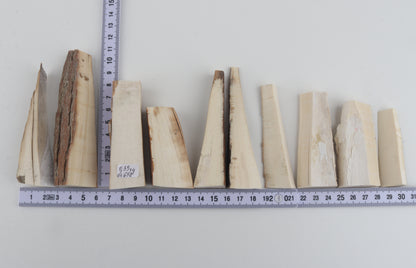 Raw mammoth ivory pieces