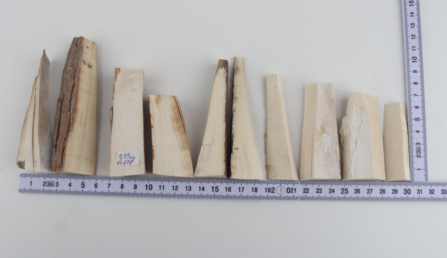 Raw mammoth ivory pieces