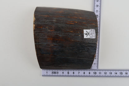 Brown-blue mammoth bark