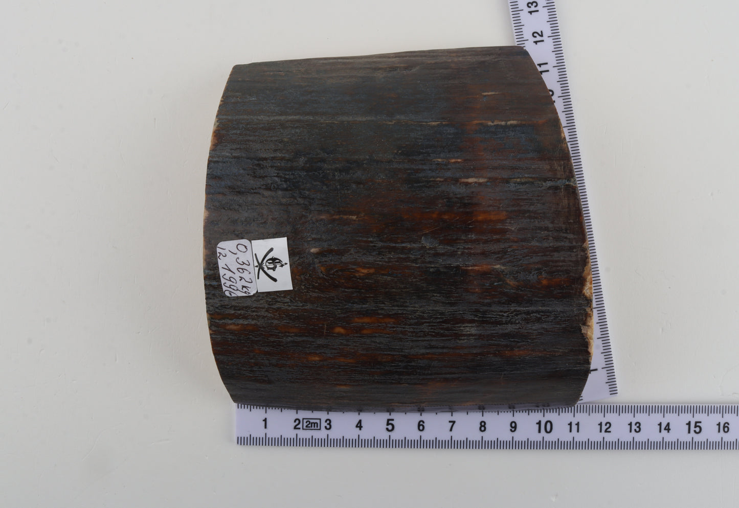 Brown-blue mammoth bark