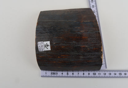 Brown-blue mammoth bark