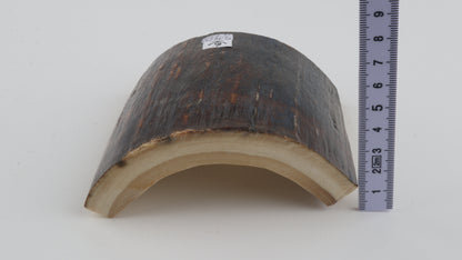 Brown-blue mammoth bark