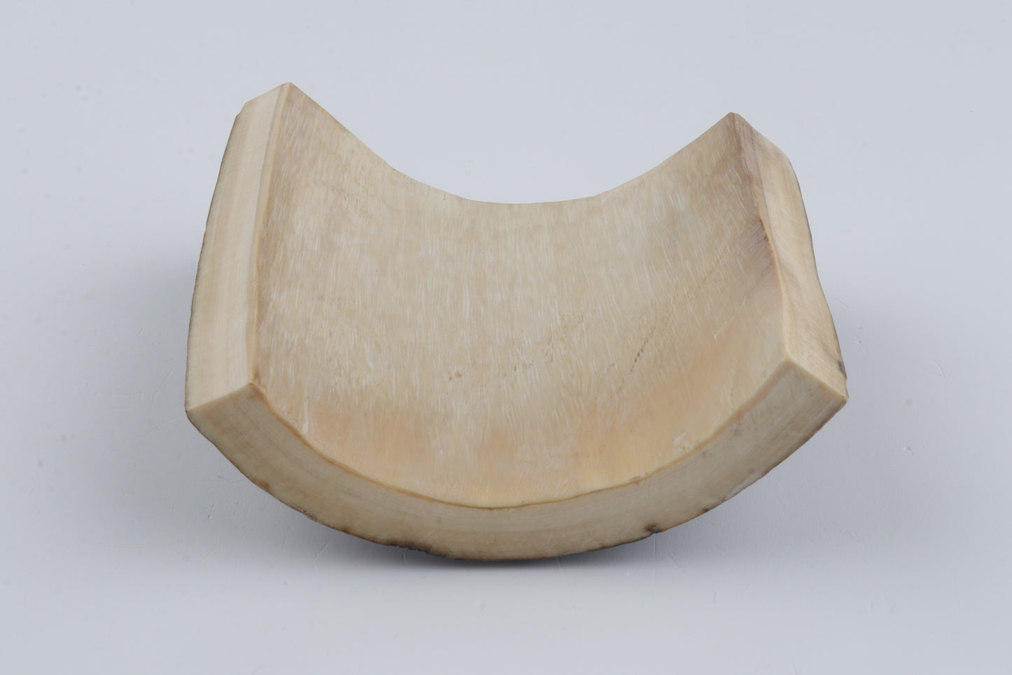 Brown-blue mammoth bark