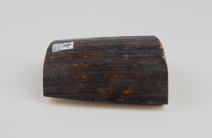 Brown-blue mammoth bark