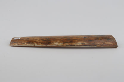Orange mammoth bark