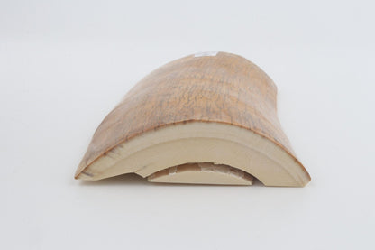 Natural mammoth ivory piece
