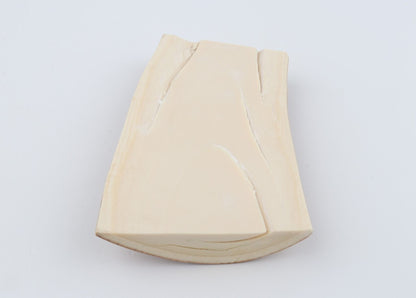 Natural mammoth ivory piece
