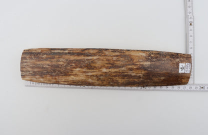 Beige-brown mammoth bark