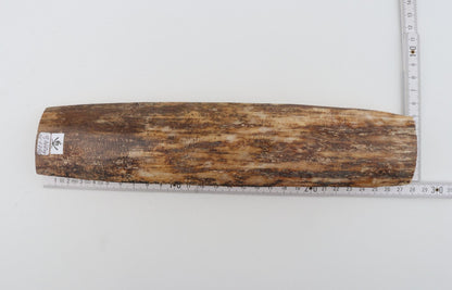Beige-brown mammoth bark