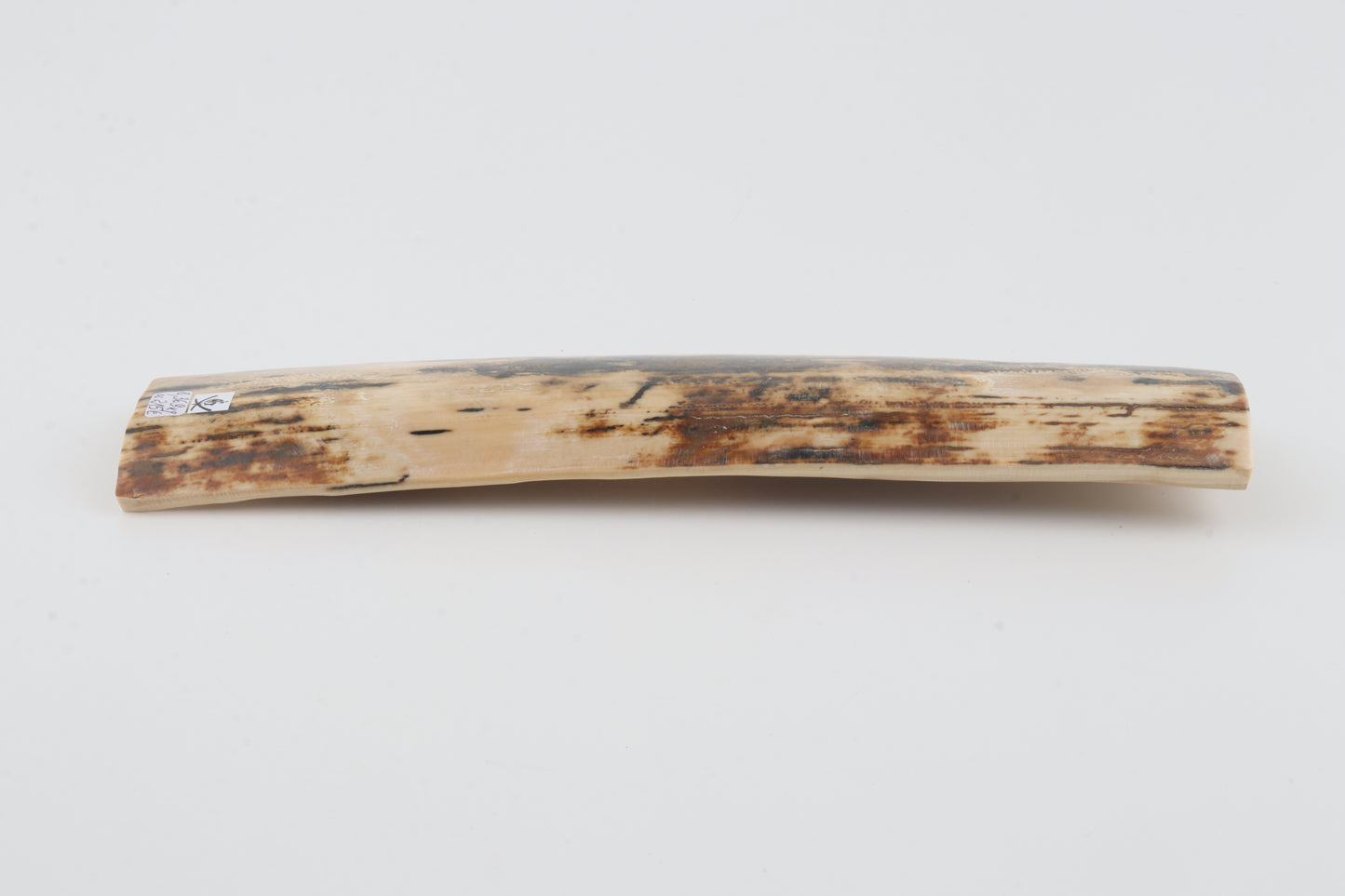 Natural woolly mammoth bark
