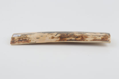 Natural woolly mammoth bark