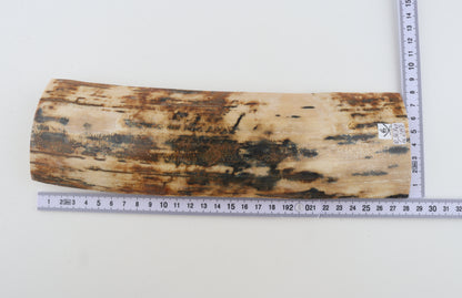 Natural woolly mammoth bark