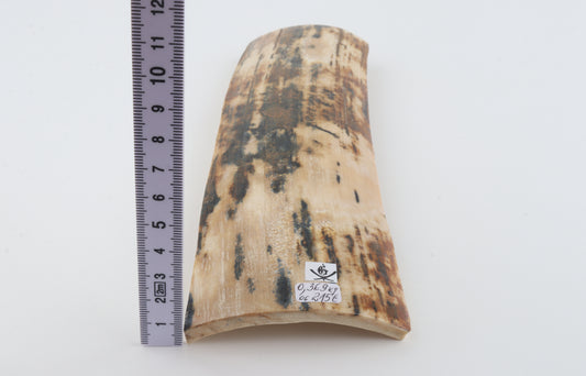 Natural woolly mammoth bark