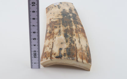 Natural woolly mammoth bark