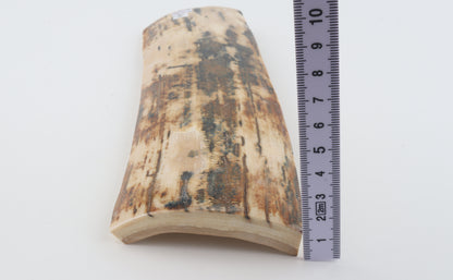 Natural woolly mammoth bark
