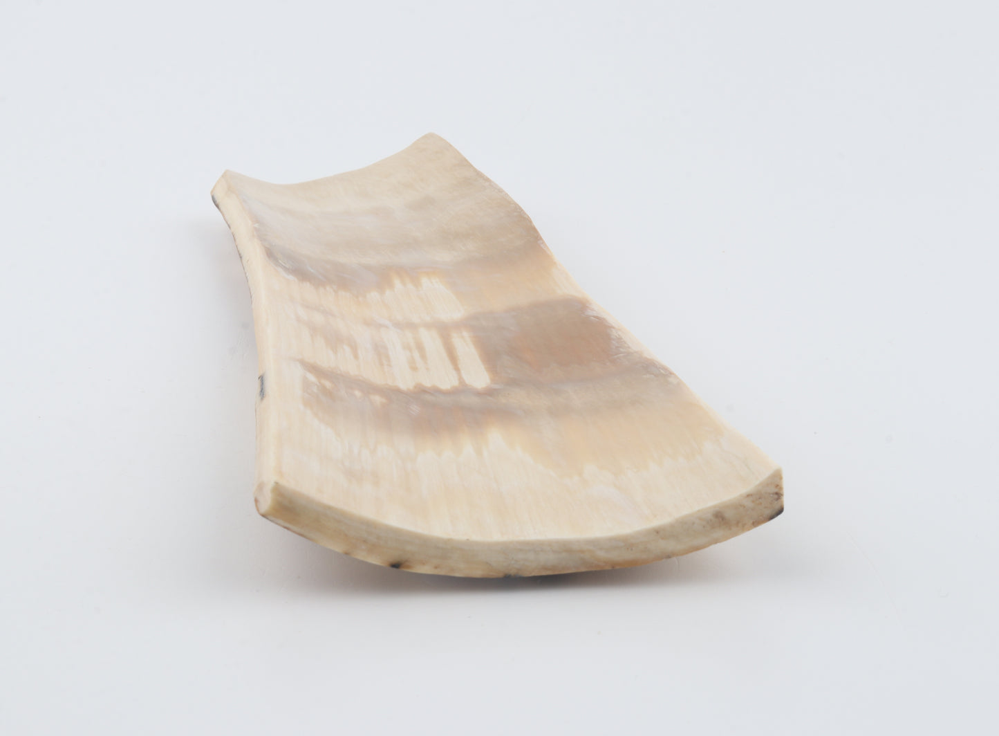 Natural woolly mammoth bark