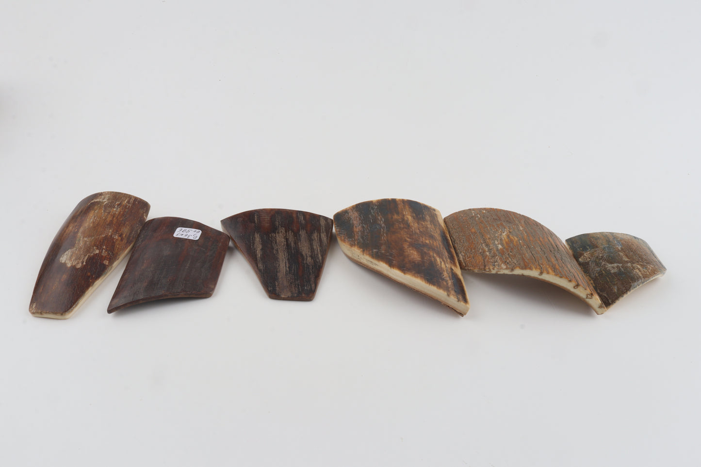 Natural mammoth bark pieces