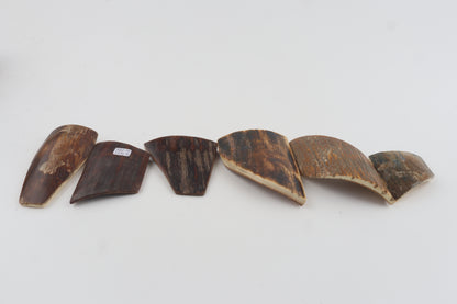 Natural mammoth bark pieces