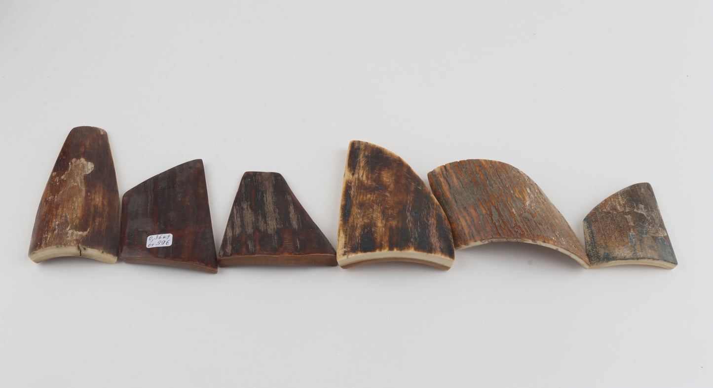 Natural mammoth bark pieces