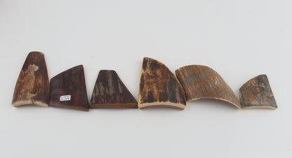 Natural mammoth bark pieces