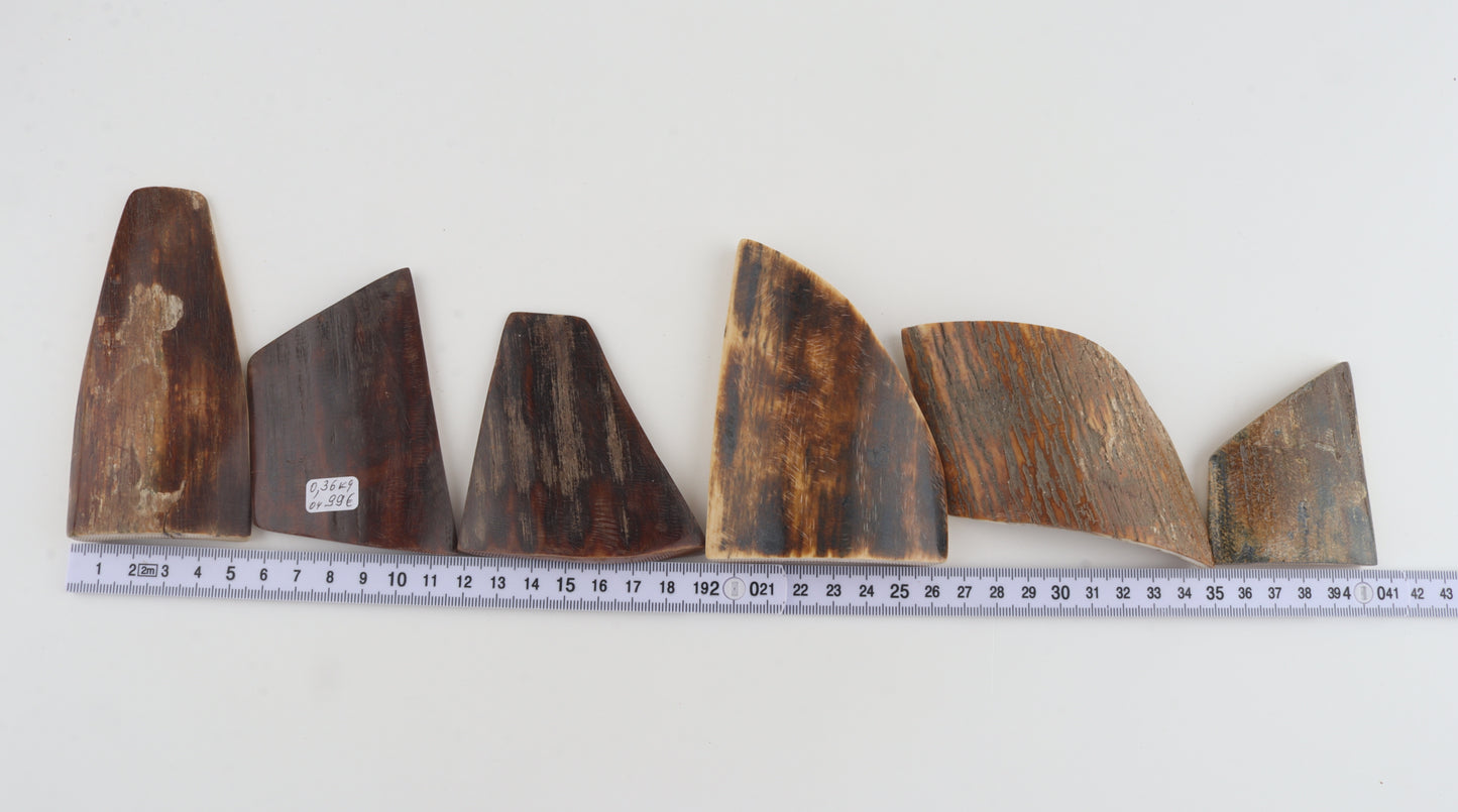 Natural mammoth bark pieces