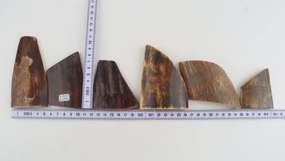 Natural mammoth bark pieces
