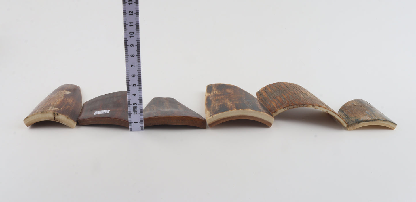Natural mammoth bark pieces