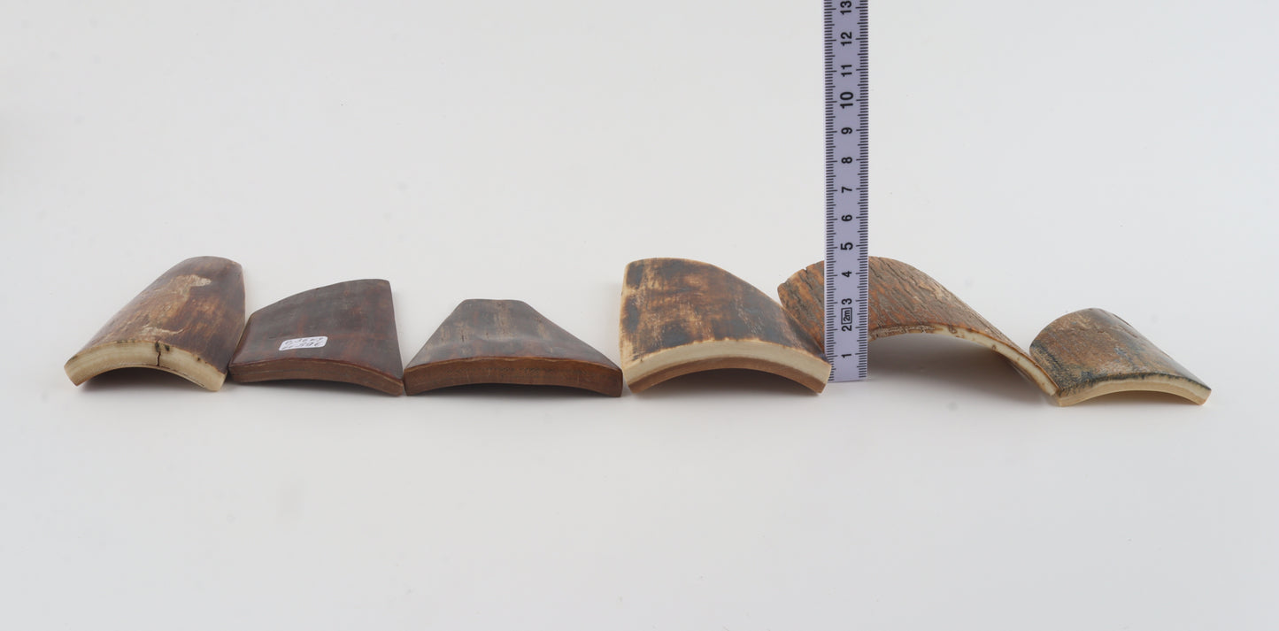 Natural mammoth bark pieces