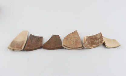 Natural mammoth bark pieces