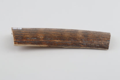 Beige mammoth bark