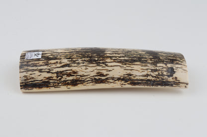 Black-white mammoth bark