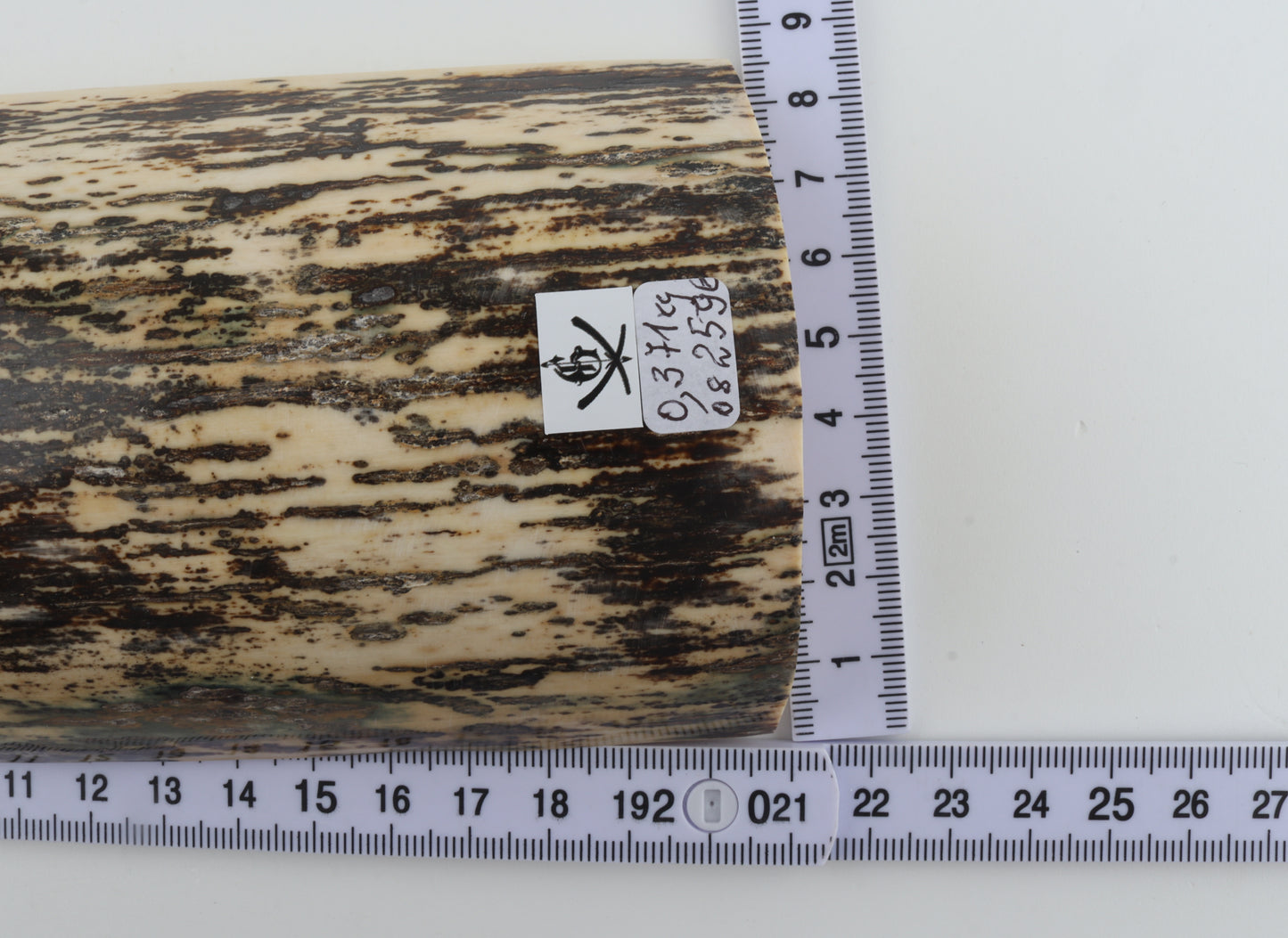 Black-white mammoth bark