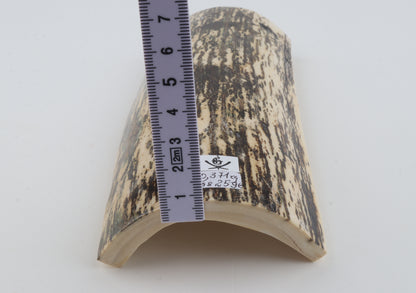 Black-white mammoth bark