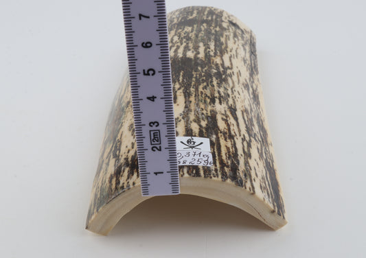 Black-white mammoth bark