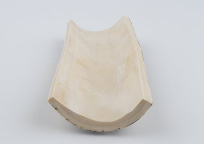 Black-white mammoth bark