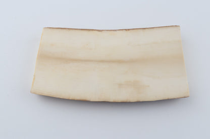 White mammoth ivory segment
