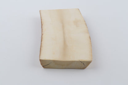 White mammoth ivory segment