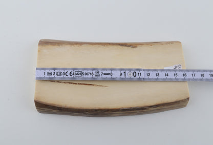White mammoth ivory segment
