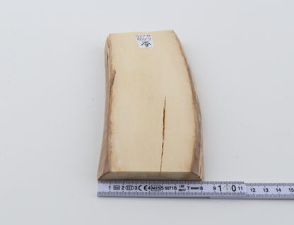 White mammoth ivory segment
