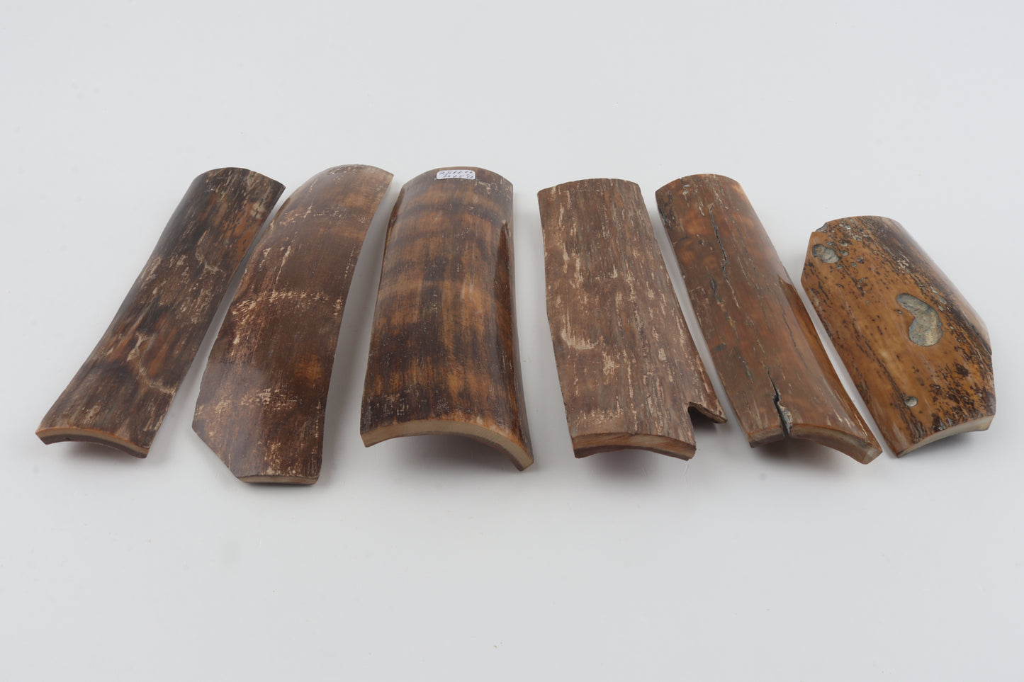 Brown mammoth bark pieces