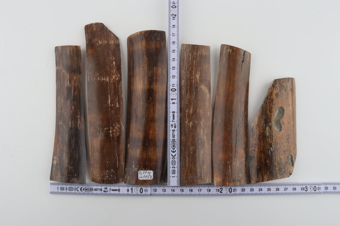 Brown mammoth bark pieces