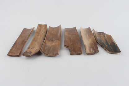 Brown mammoth bark pieces