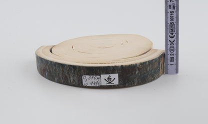 Round mammoth tusk piece