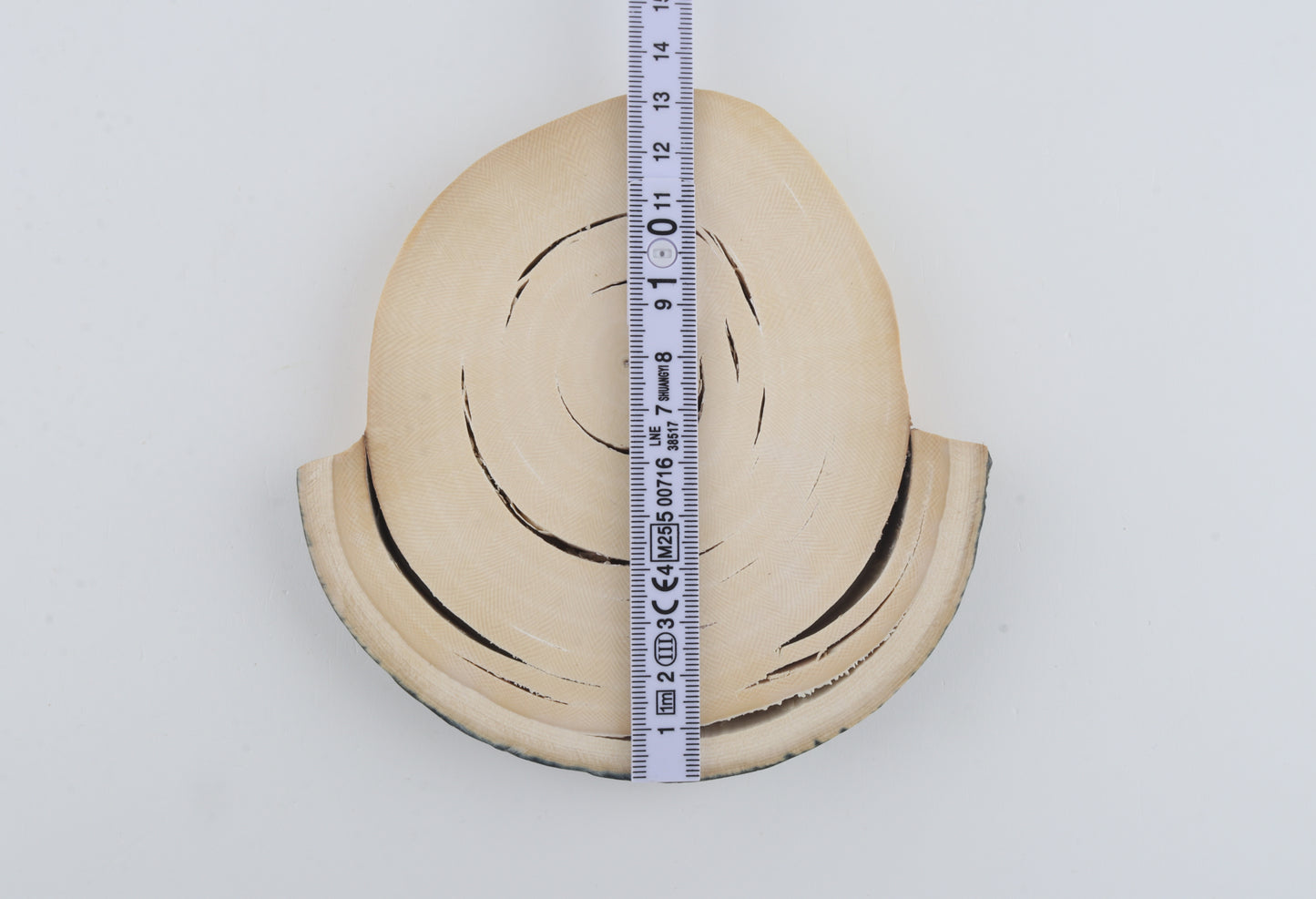 Round mammoth tusk piece